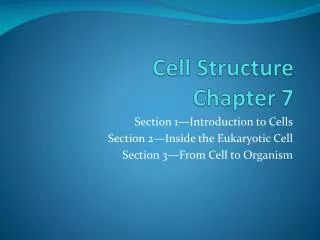 Cell Structure Chapter 7