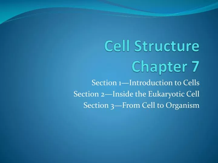 cell structure chapter 7