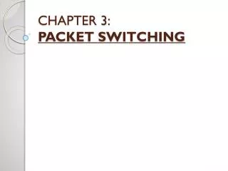 CHAPTER 3: PACKET SWITCHING