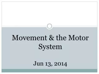 Movement &amp; the Motor System Jun 13, 2014