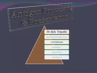 Antigen Processing &amp; Presentation