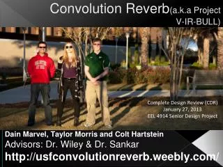 Convolution Reverb (a.k.a Project V-IR-BULL)
