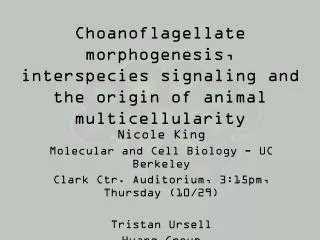 Choanoflagellate morphogenesis, interspecies signaling and the origin of animal multicellularity