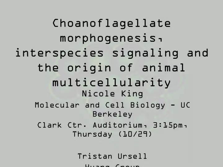 choanoflagellate morphogenesis interspecies signaling and the origin of animal multicellularity