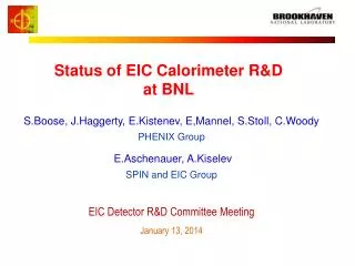 Status of EIC Calorimeter R&amp;D at BNL