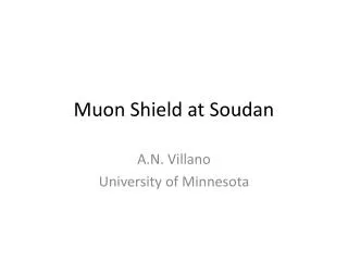 Muon Shield at Soudan