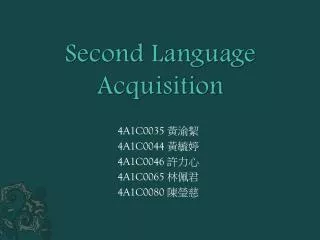 Second Language Acquisition