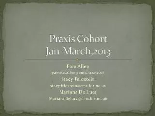 Praxis Cohort Jan-March,2013