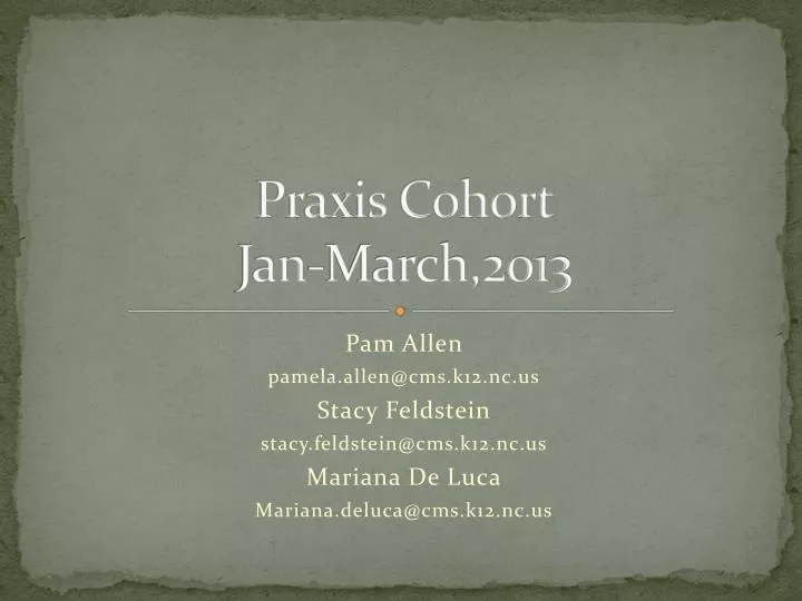 praxis cohort jan march 2013