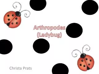 Arthropodes ( Ladybug)