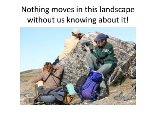 Nothing moves in this landscape without us knowing about it!