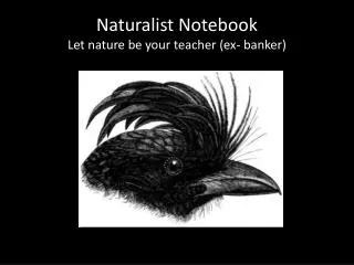 Naturalist Notebook Let nature be your teacher (ex- banker)