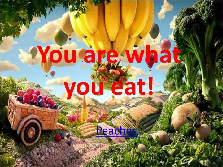 you are what you eat
