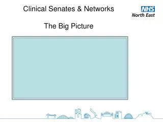 Clinical Senates &amp; Networks The Big Picture