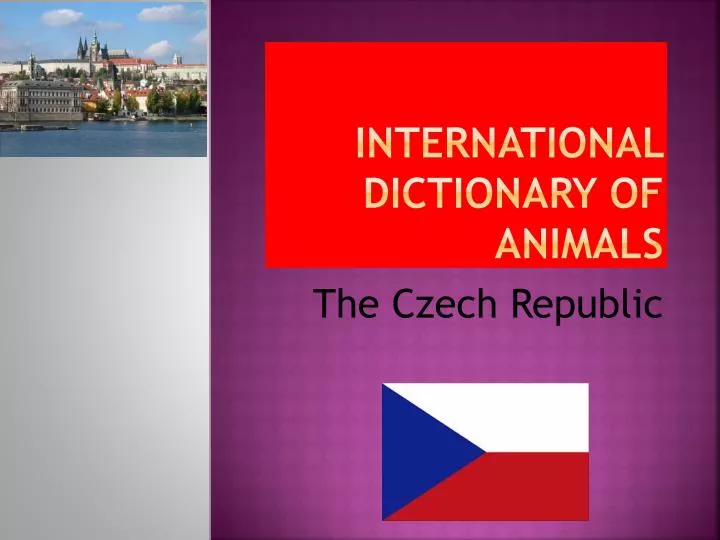 international dictionary of animals
