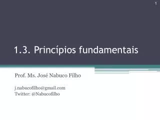 1 3 princ pios fundamentais