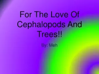 For The Love Of Cephalopods And Trees!!