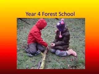 Year 4 Forest School
