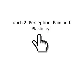 Touch 2: Perception, Pain and Plasticity