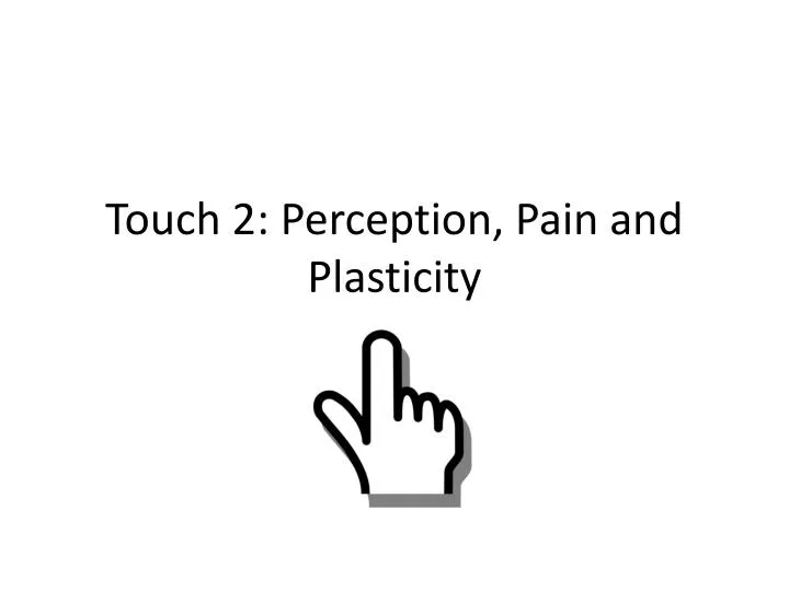touch 2 perception pain and plasticity