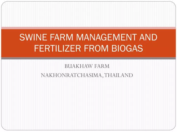 swine farm management and fertilizer from biogas