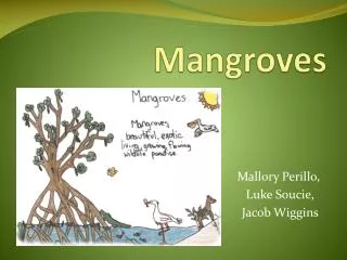 Mangroves