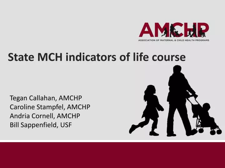 state mch indicators of life course