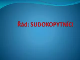 d sudokopytn ci