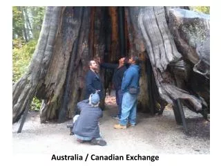 Australia / Canadian Exchange