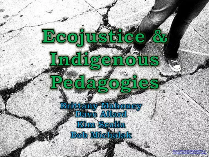 ecojustice indigenous pedagogies