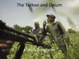 The Taliban and Opium