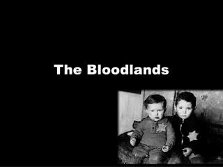 The Bloodlands