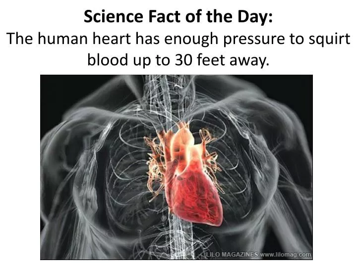 science fact of the day the human heart has enough pressure to squirt blood up to 30 feet away