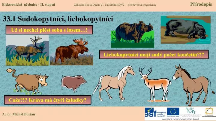 33 1 sudokopytn ci lichokopytn ci