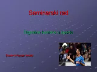seminarski rad