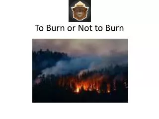 To Burn or Not to Burn
