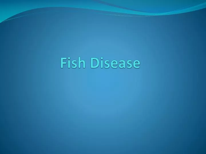 fish disease