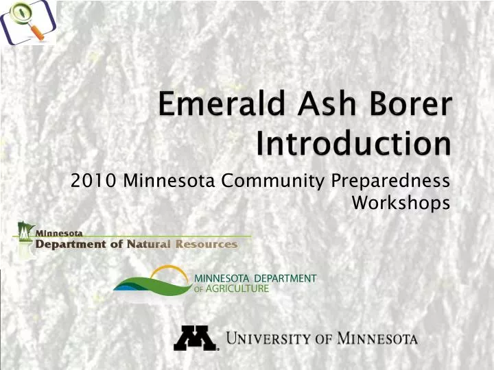 emerald ash borer introduction