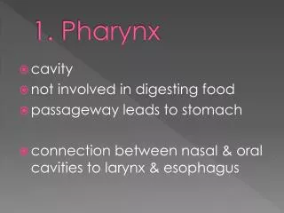 1. Pharynx
