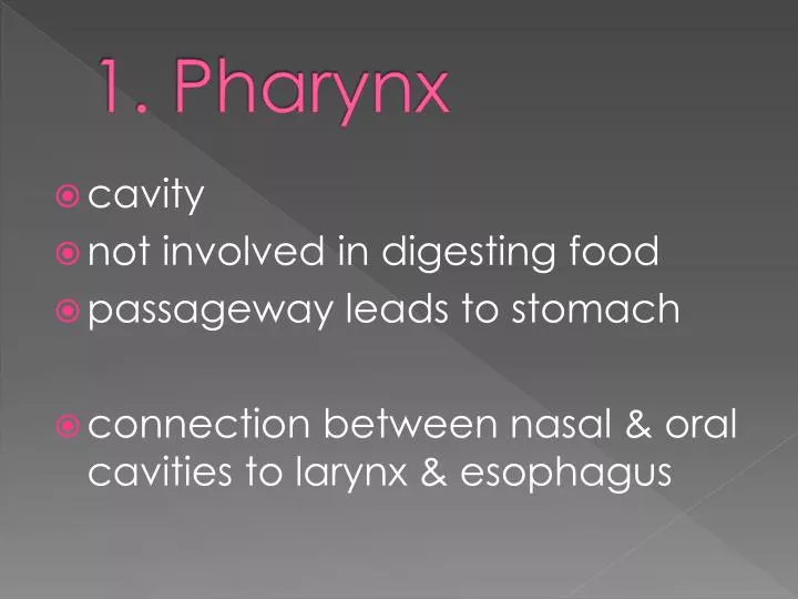 1 pharynx