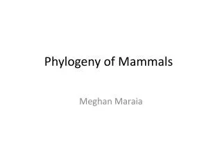Phylogeny of Mammals