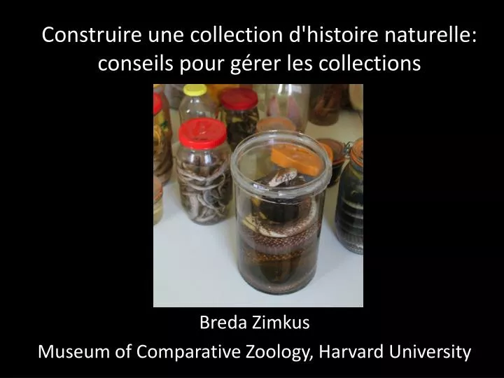 construire une collection d histoire naturelle conseils pour g rer l es collections