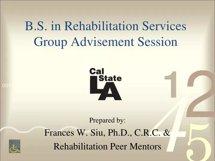b s in rehabilitation services group advisement session