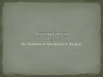 Assimilation - slide 1