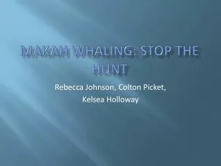 Makah Whaling: stop the hunt