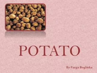 POTATO