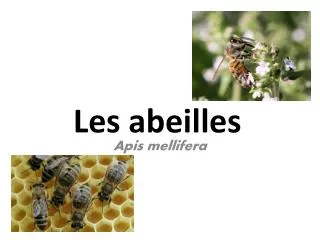 les abeilles