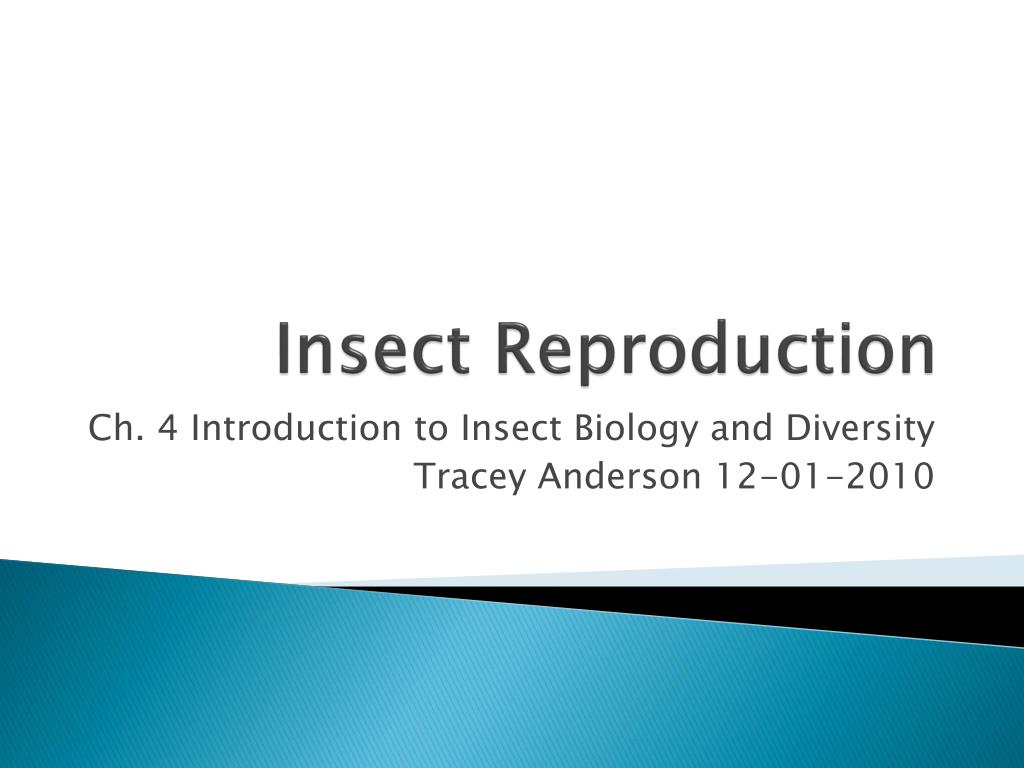PPT - Insect Reproduction PowerPoint Presentation, free download - ID ...