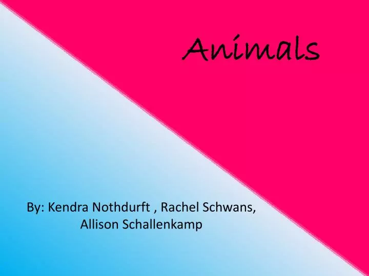 animals