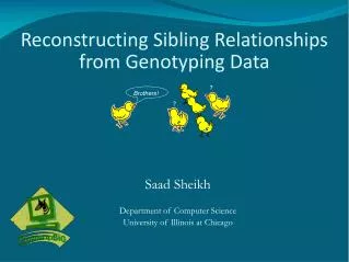 Reconstructing Sibling Relationships from Genotyping Data